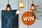 Be in the draw to win a Shibui Pendant