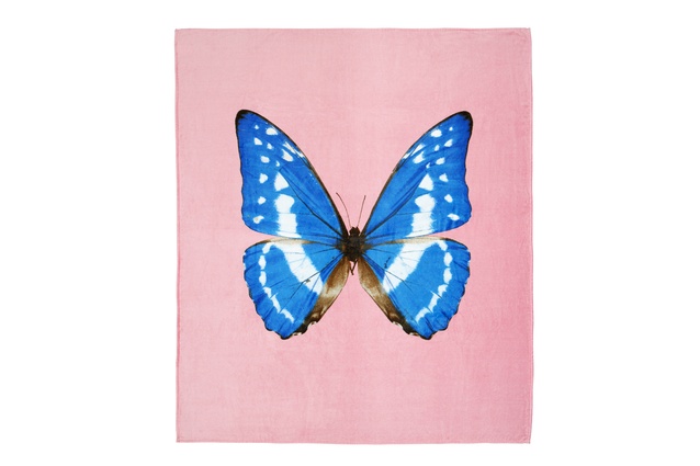 Damien Hirst beach towel |
<a
href="
http://www.design55.co.nz/" target="_blank"><u> $225 from Design55 </u></a>