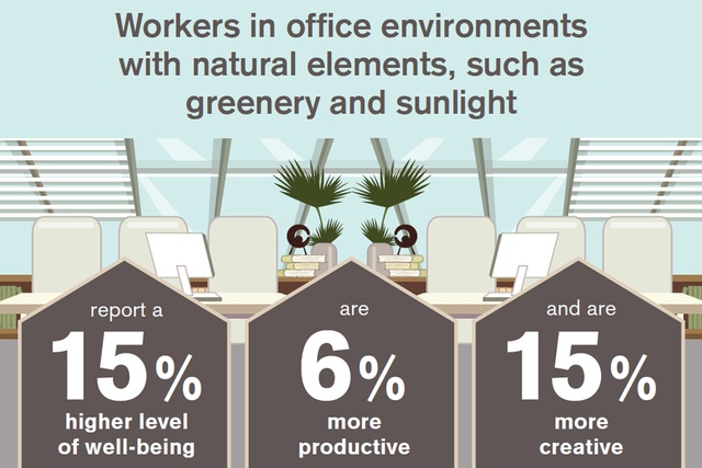 The global impact of biophilic design in the workplace | Architecture Now