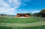 Navigating the green labyrinth