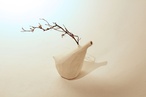 ECC NZ Student Craft / Design Awards 2015